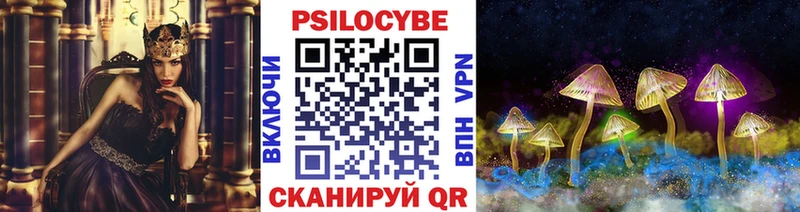 Псилоцибиновые грибы Psilocybe  магазин продажи наркотиков  Павловск 