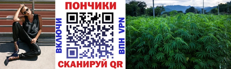 Конопля семена  darknet как зайти  Павловск 